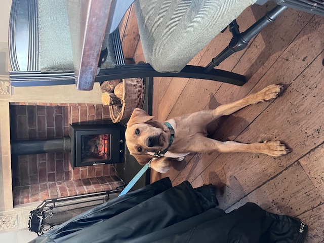 Dog walks from pubs in Wrenbury