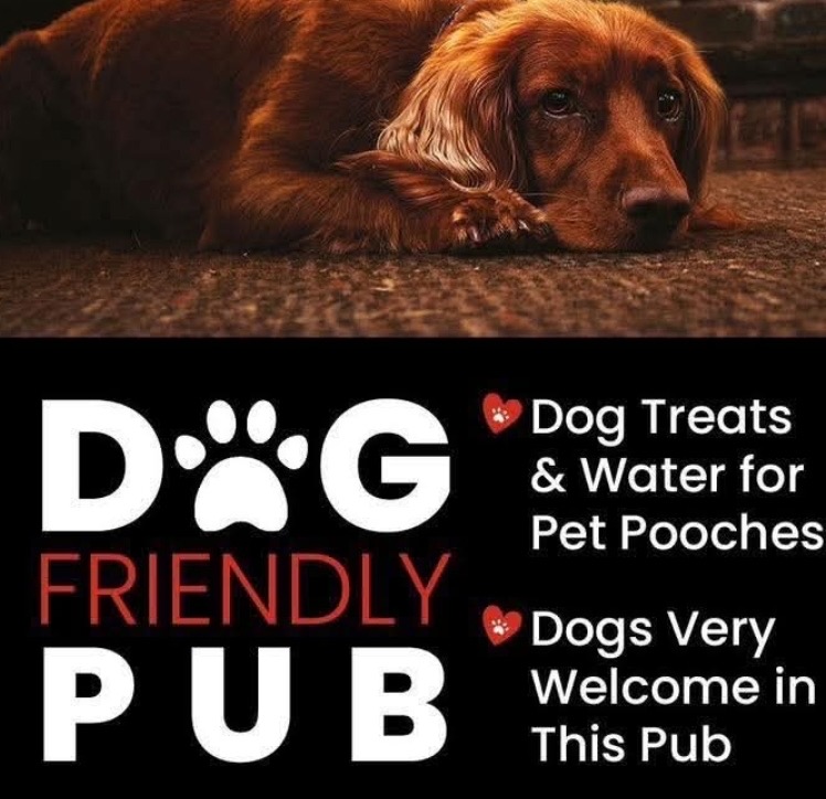 Dog friendly pub