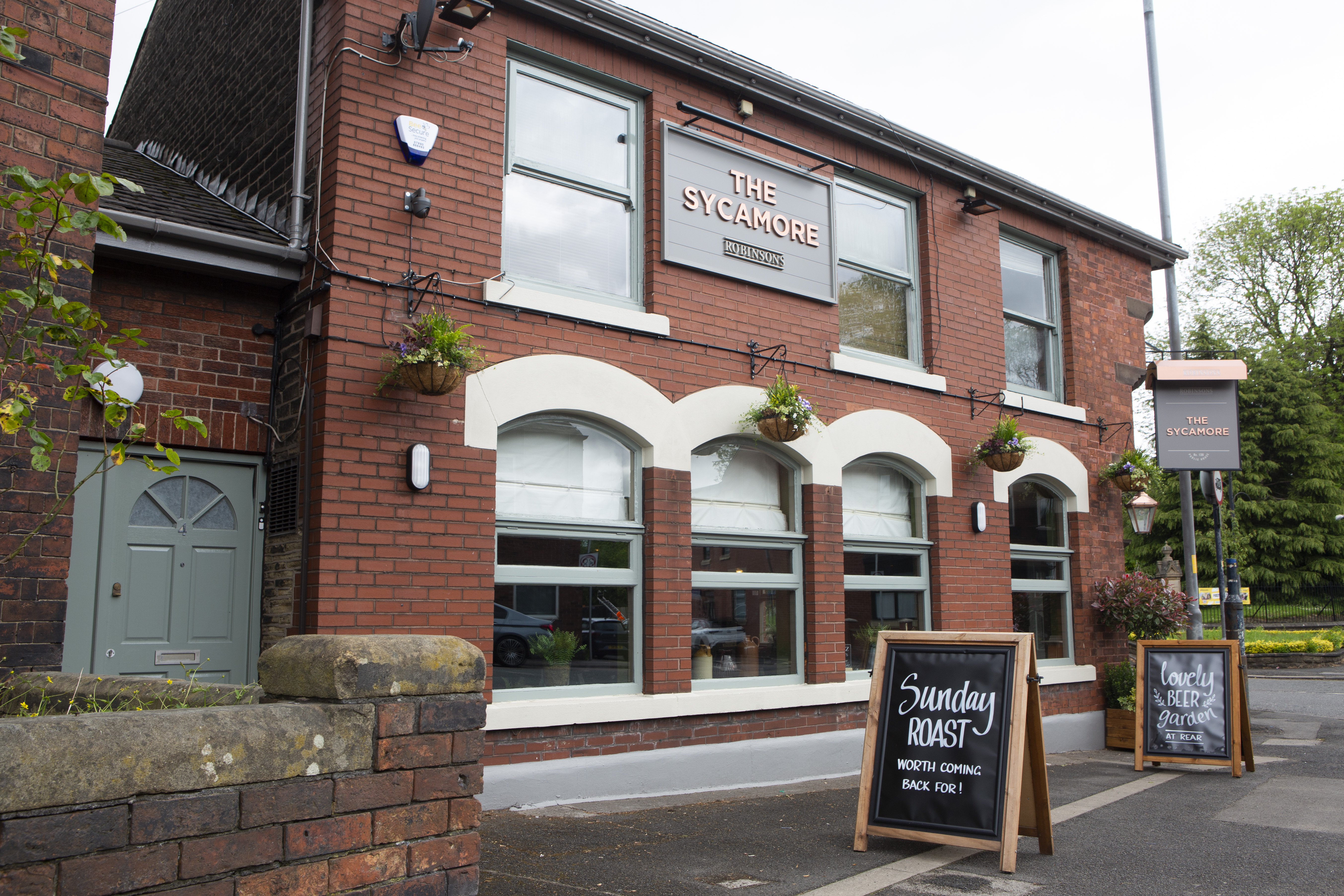 The Sycamore